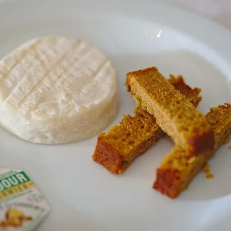 Orlaya Affittacamere